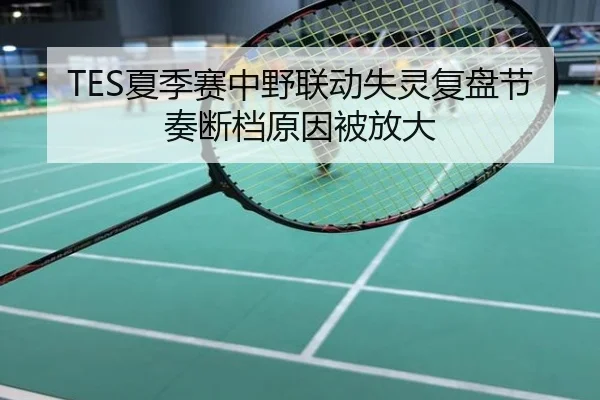 TES夏季赛中野联动失灵复盘节奏断档原因被放大
